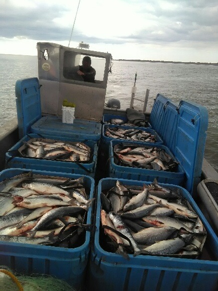 Alaska media photo 1