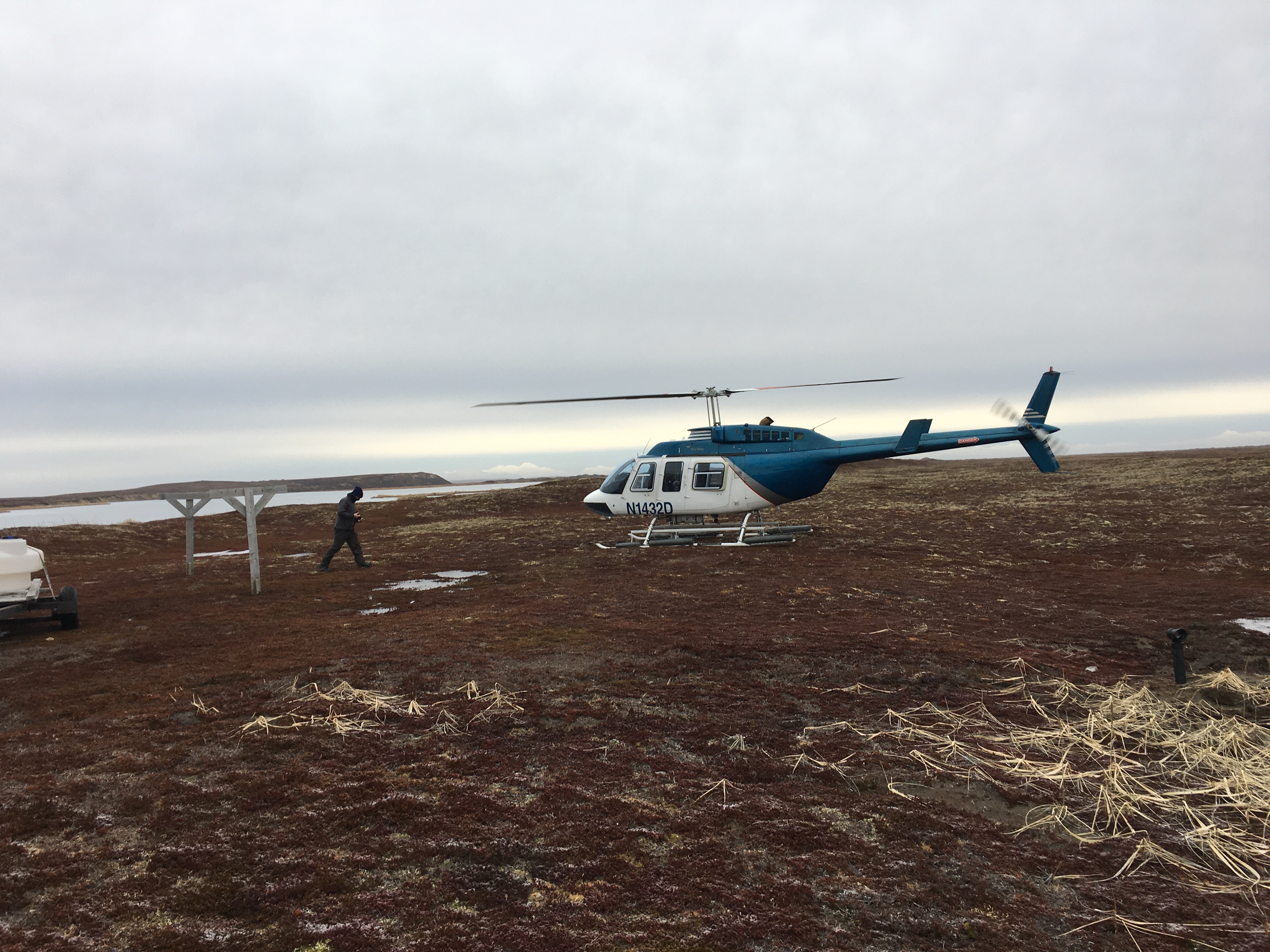 Alaska media photo 5