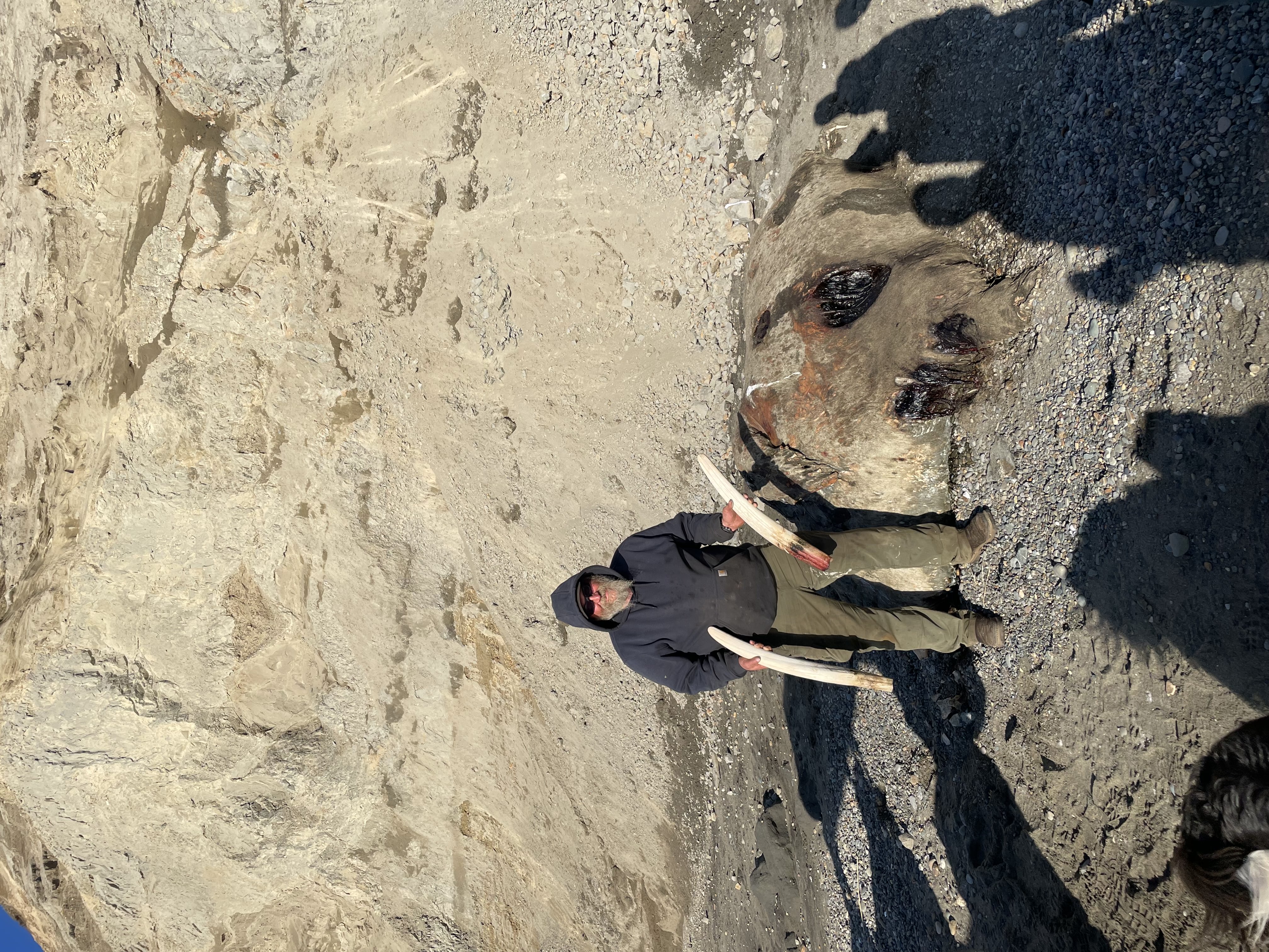 Alaska media photo 8