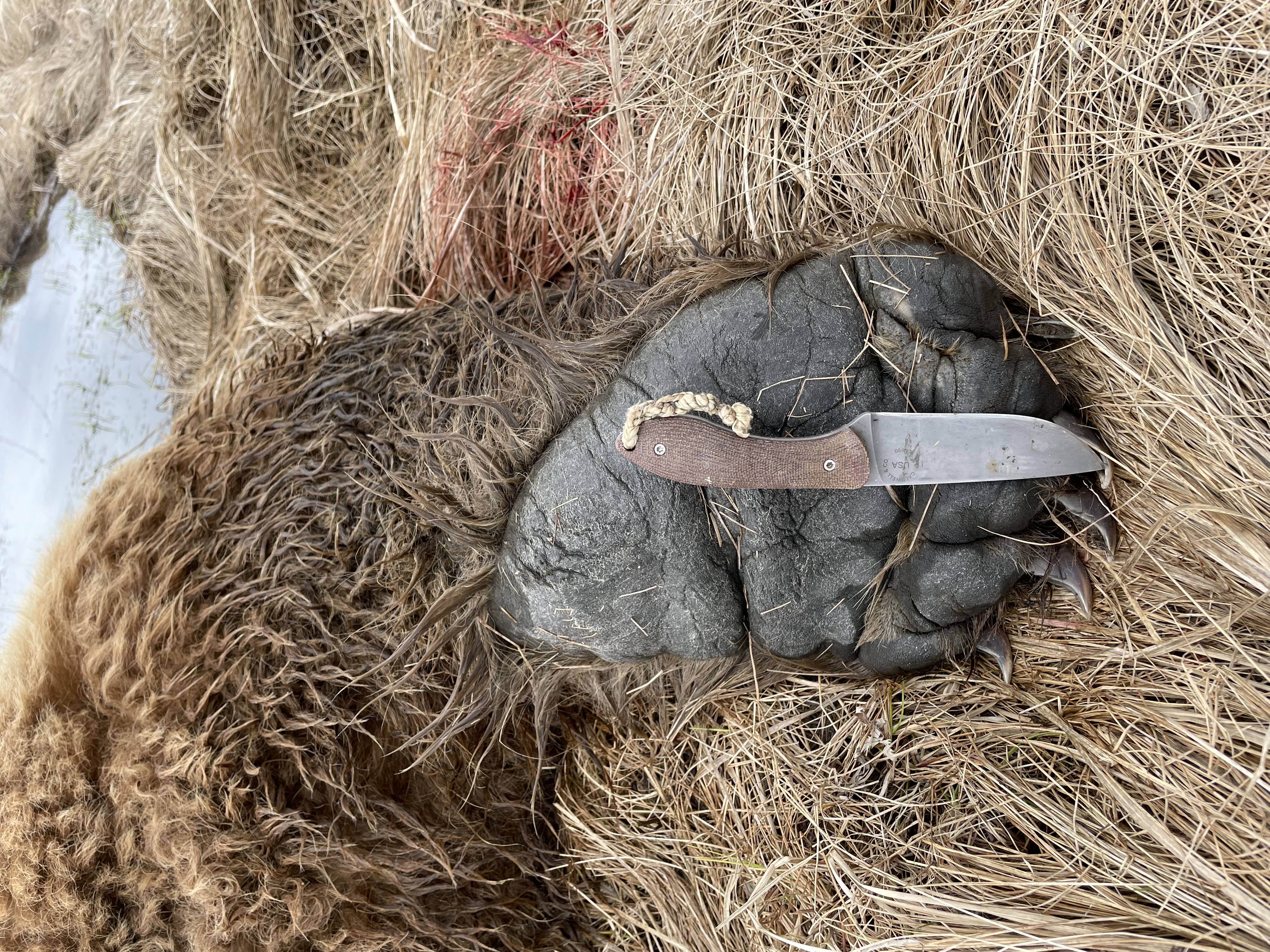 Alaska media photo 14