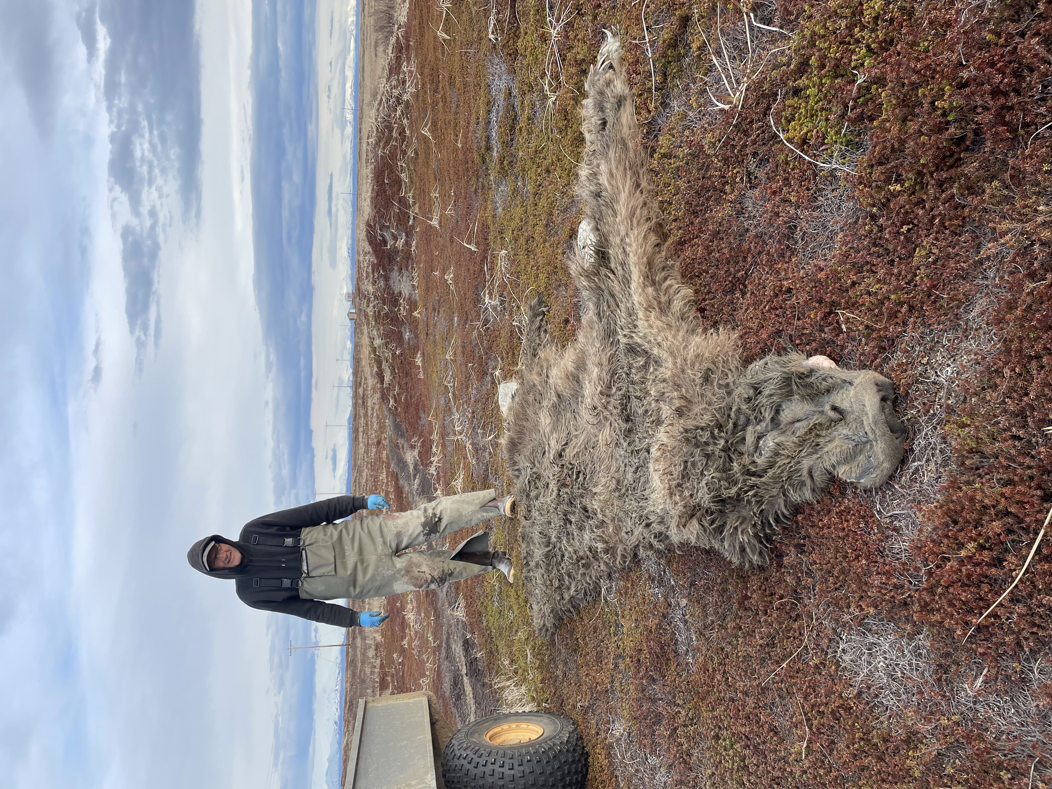 Alaska media photo 18